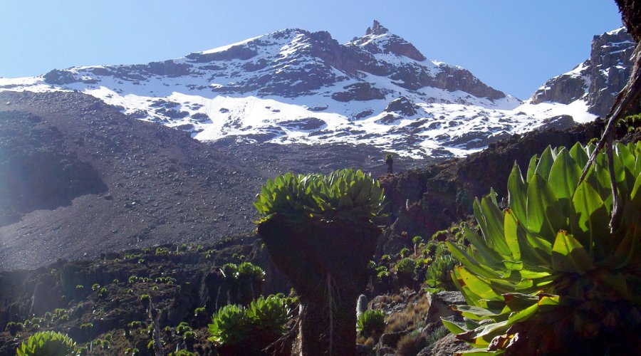 Mount Kenya Climbing through Naro Moru Route - 6days Up Sirimon down through Naro Moru Route with Peak Circuit Route