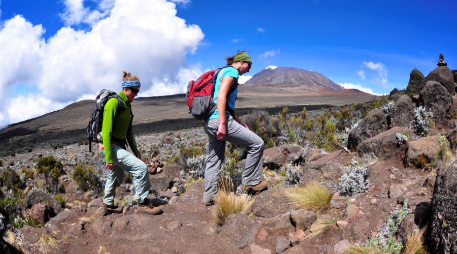7 Days Mount Kilimanjaro Climbing Through Marangu Route