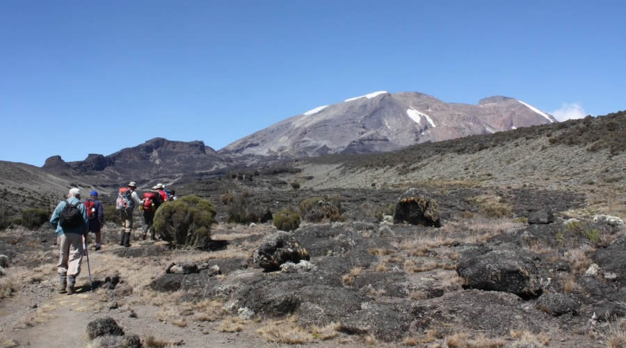 7days Mount Kilimanjaro Climbing Rongai Route