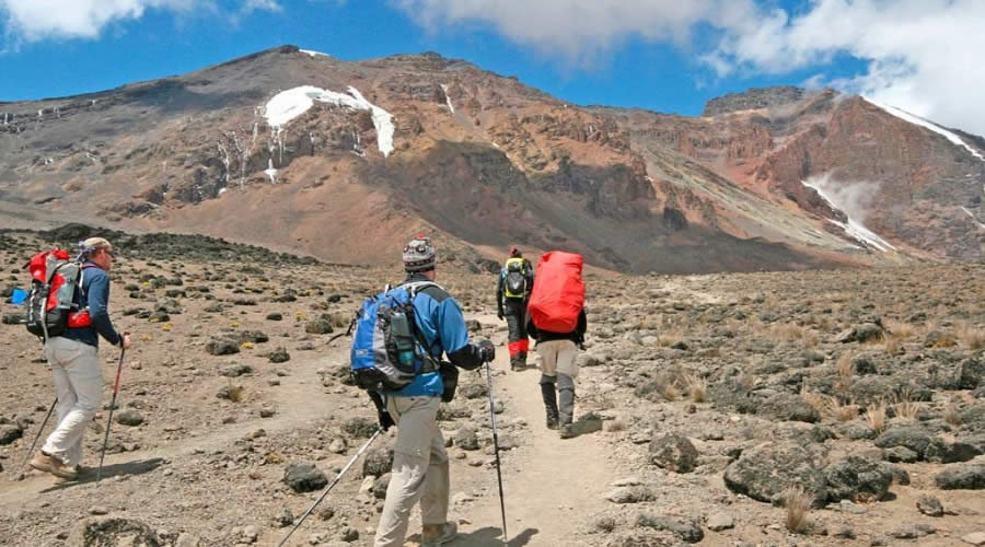 7 Days Mount Kilimanjaro Climbing: Umbwe Route