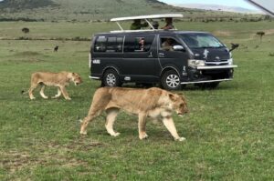 Safari Vehicle Hire Kenya, Hire Tour Van, Hire Safari Vehicle Nairobi, Hire Customized Tour Van Nairobi Kenya